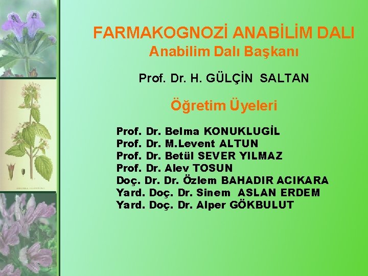 FARMAKOGNOZİ ANABİLİM DALI Anabilim Dalı Başkanı Prof. Dr. H. GÜLÇİN SALTAN Öğretim Üyeleri Prof.