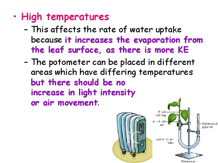  • High temperatures – This affects the rate of water uptake because it