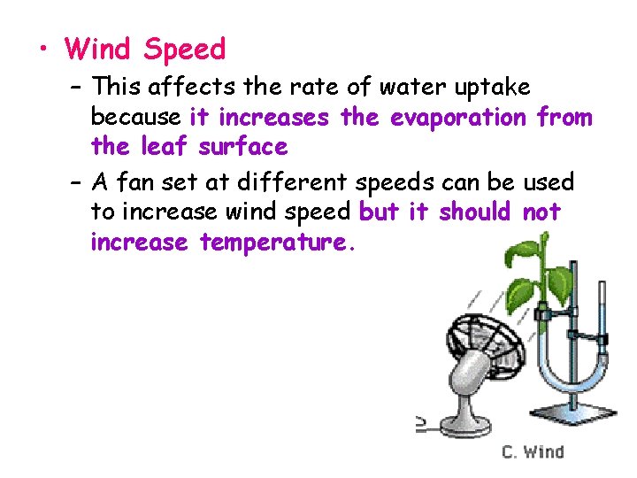  • Wind Speed – This affects the rate of water uptake because it