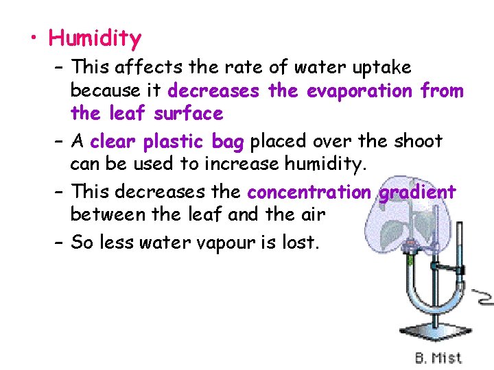  • Humidity – This affects the rate of water uptake because it decreases