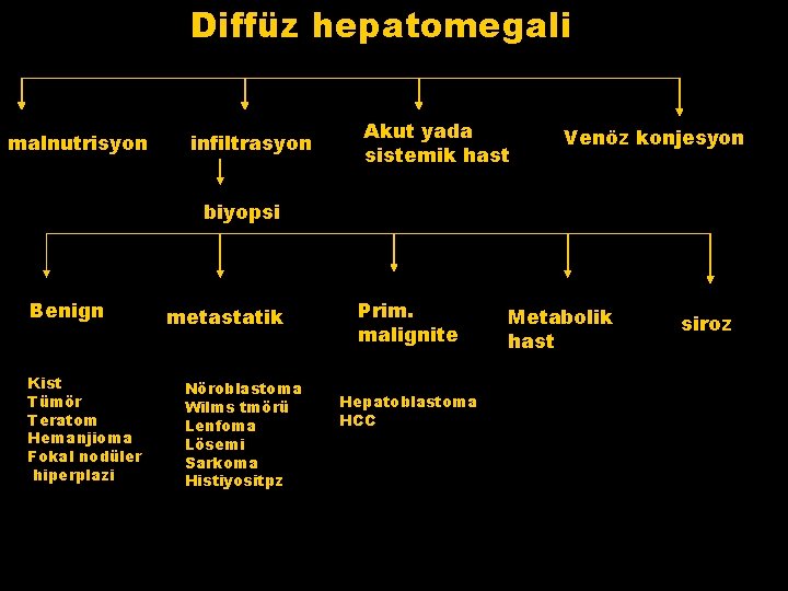 Diffüz hepatomegali malnutrisyon infiltrasyon Akut yada sistemik hast Venöz konjesyon biyopsi Benign Kist Tümör