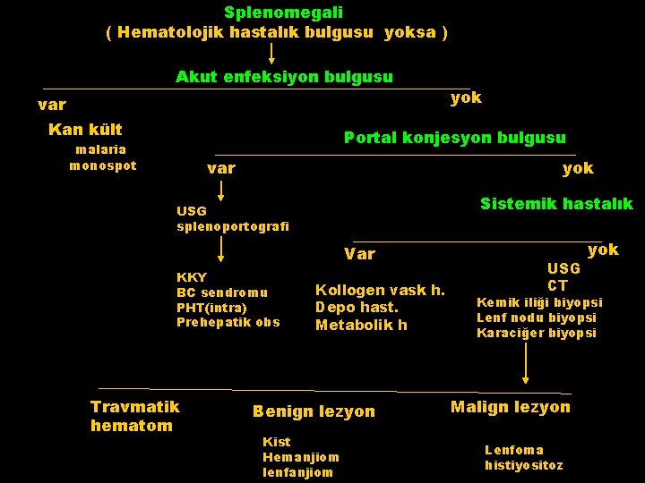 Splenomegali ( Hematolojik hastalık bulgusu yoksa ) Akut enfeksiyon bulgusu var Kan kült yok