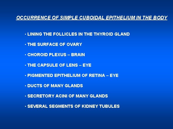 OCCURRENCE OF SIMPLE CUBOIDAL EPITHELIUM IN THE BODY • LINING THE FOLLICLES IN THE