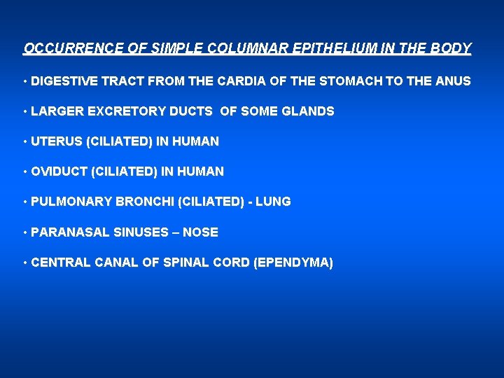 OCCURRENCE OF SIMPLE COLUMNAR EPITHELIUM IN THE BODY • DIGESTIVE TRACT FROM THE CARDIA