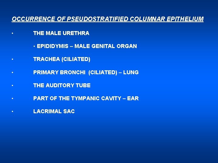 OCCURRENCE OF PSEUDOSTRATIFIED COLUMNAR EPITHELIUM • THE MALE URETHRA • EPIDIDYMIS – MALE GENITAL