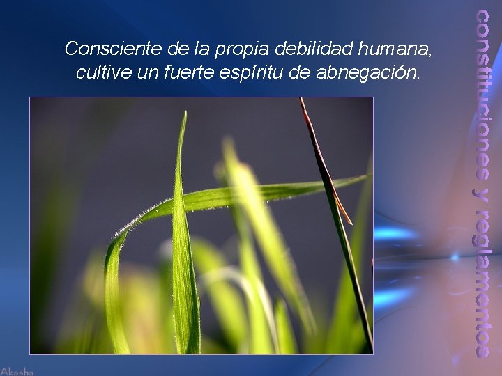 Consciente de la propia debilidad humana, cultive un fuerte espíritu de abnegación. 