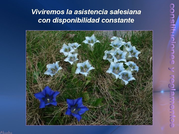 Viviremos la asistencia salesiana con disponibilidad constante 