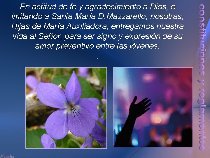 En actitud de fe y agradecimiento a Dios, e imitando a Santa María D.