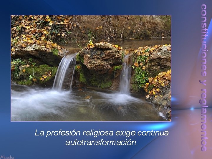 La profesión religiosa exige continua autotransformación. 