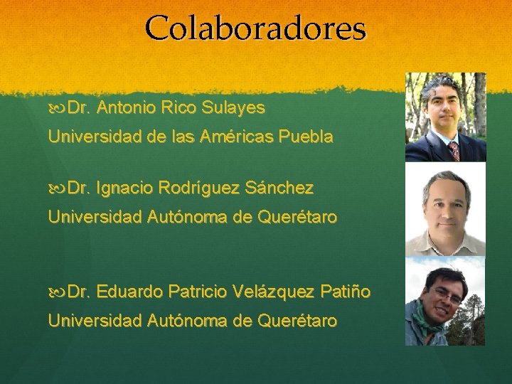 Colaboradores Dr. Antonio Rico Sulayes Universidad de las Américas Puebla Dr. Ignacio Rodríguez Sánchez
