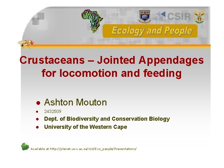 Crustaceans – Jointed Appendages for locomotion and feeding l Ashton Mouton l 2432509 l