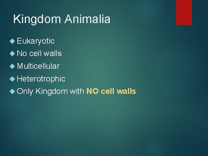 Kingdom Animalia Eukaryotic No cell walls Multicellular Heterotrophic Only Kingdom with NO cell walls