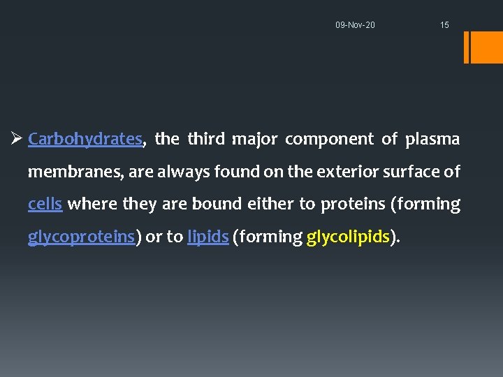09 -Nov-20 15 Ø Carbohydrates, the third major component of plasma membranes, are always
