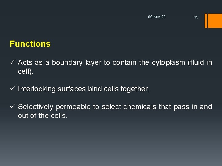 09 -Nov-20 19 Functions ü Acts as a boundary layer to contain the cytoplasm