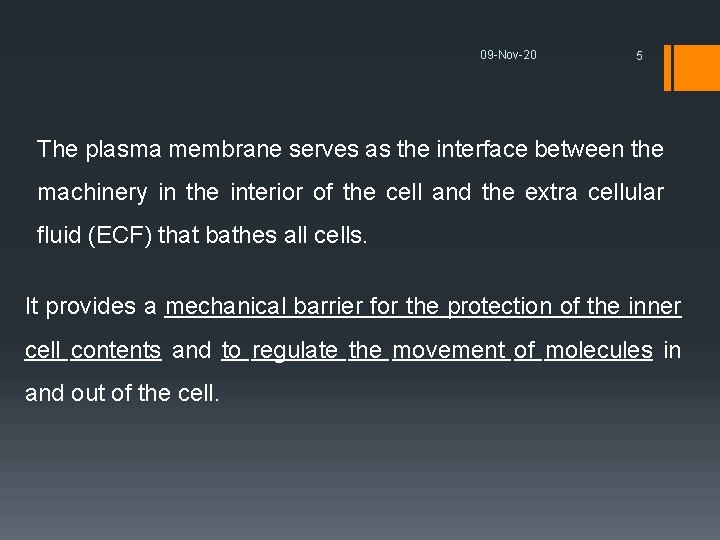 09 -Nov-20 5 The plasma membrane serves as the interface between the machinery in