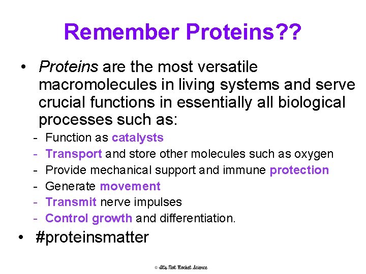 Remember Proteins? ? • Proteins are the most versatile macromolecules in living systems and