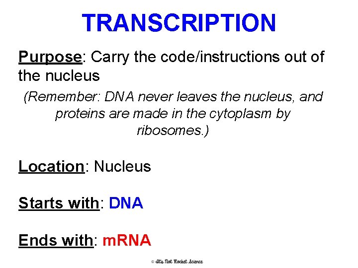 TRANSCRIPTION Purpose: Carry the code/instructions out of the nucleus (Remember: DNA never leaves the