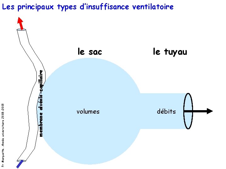 Les principaux types d’insuffisance ventilatoire membrane alvéolo-capillaire Pr Marquette. Année universitaire 2008 -2009 le