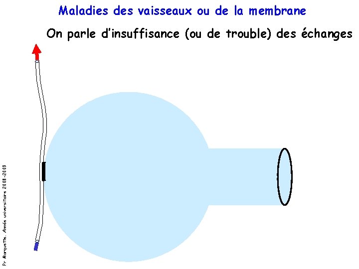 Maladies des vaisseaux ou de la membrane Pr Marquette. Année universitaire 2008 -2009 On