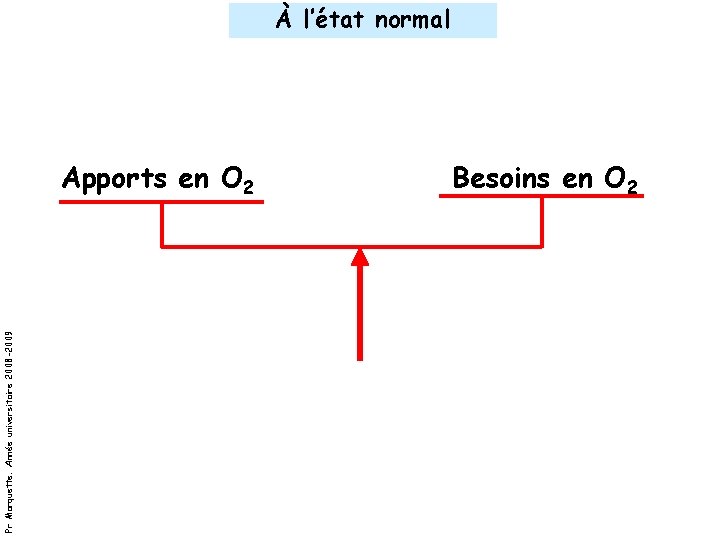 Pr Marquette. Année universitaire 2008 -2009 À l’état normal Apports en O 2 Besoins