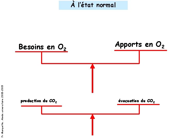 À l’état normal Pr Marquette. Année universitaire 2008 -2009 Besoins en O 2 production
