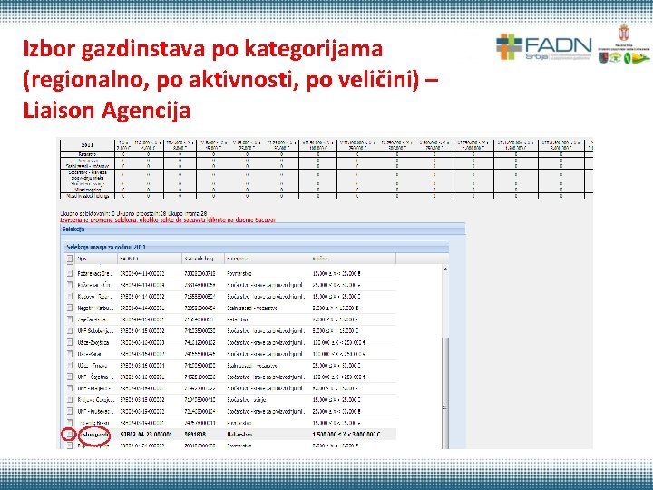 Izbor gazdinstava po kategorijama (regionalno, po aktivnosti, po veličini) – Liaison Agencija 