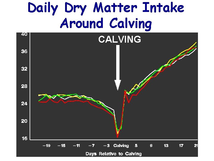Daily Dry Matter Intake Around Calving CALVING * 