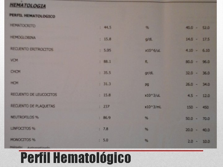 Perfil Hematológico 