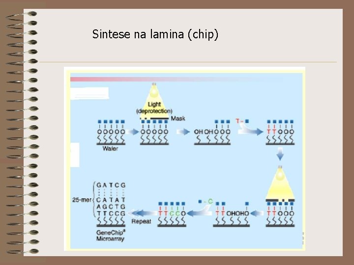 Sintese na lamina (chip) 