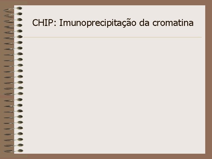 CHIP: Imunoprecipitação da cromatina 