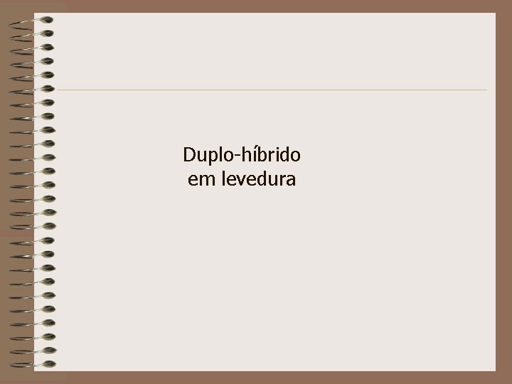 Duplo-híbrido em levedura 