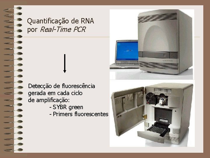 Quantificação de RNA por Real-Time PCR Detecção de fluorescência gerada em cada ciclo de