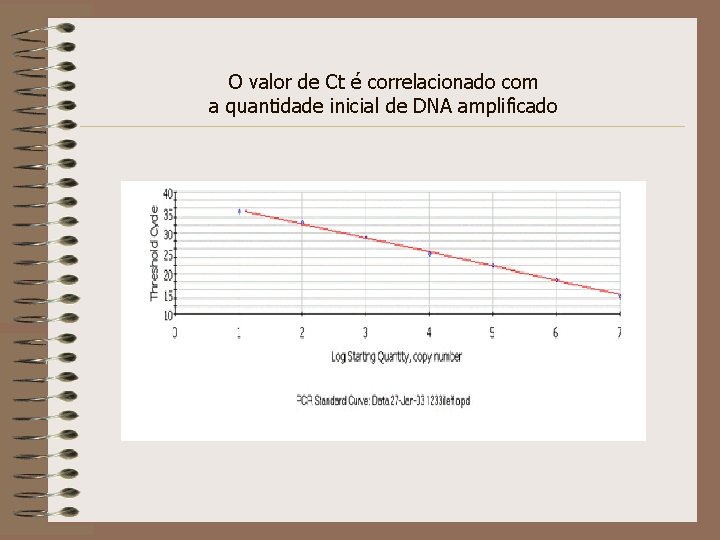 O valor de Ct é correlacionado com a quantidade inicial de DNA amplificado 