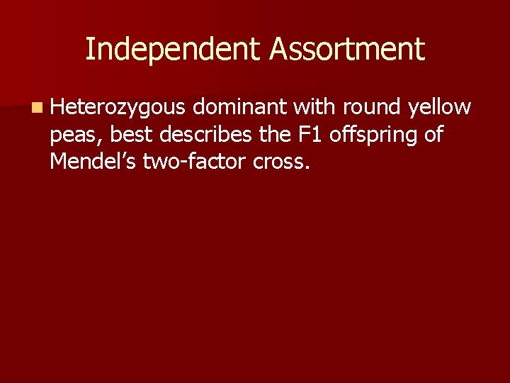 Independent Assortment n Heterozygous dominant with round yellow peas, best describes the F 1