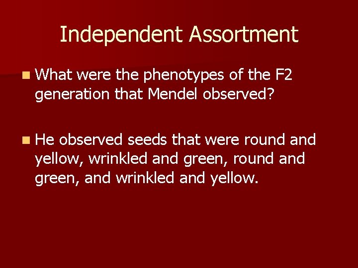 Independent Assortment n What were the phenotypes of the F 2 generation that Mendel