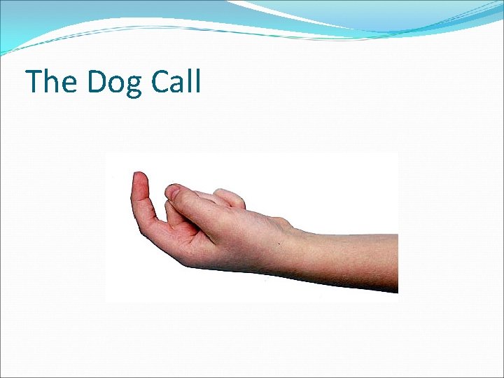 The Dog Call 