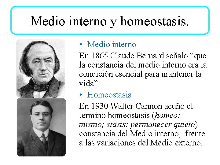 Medio interno y homeostasis. • Medio interno En 1865 Claude Bernard señalo “que la