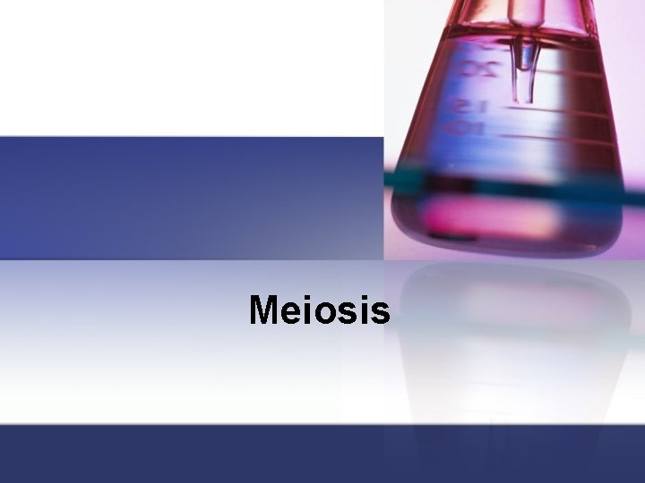 Meiosis 