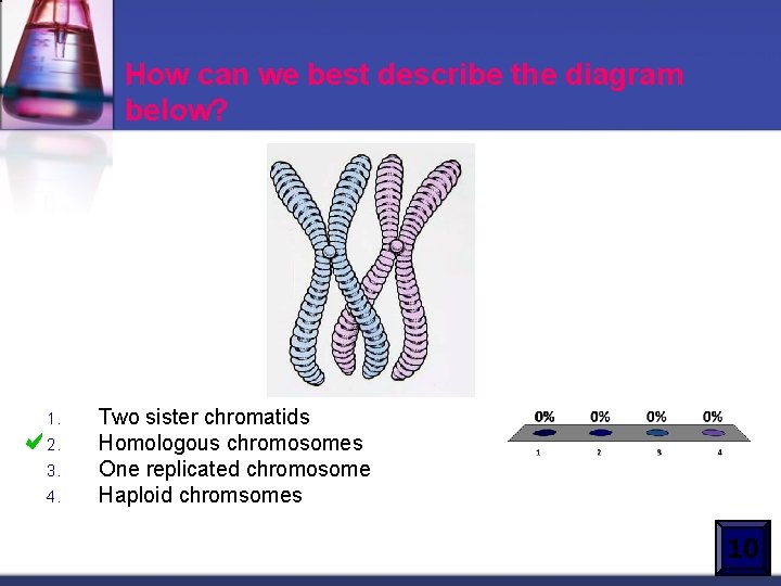 How can we best describe the diagram below? 1. 2. 3. 4. Two sister