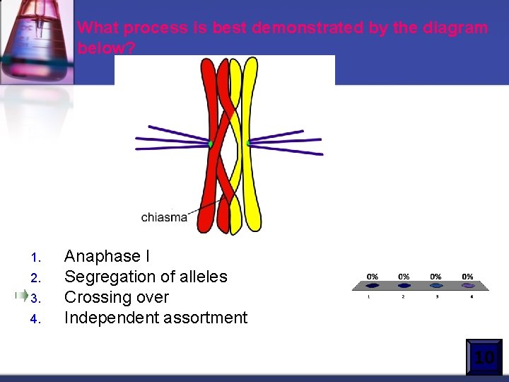 What process is best demonstrated by the diagram below? 1. 2. 3. 4. Anaphase