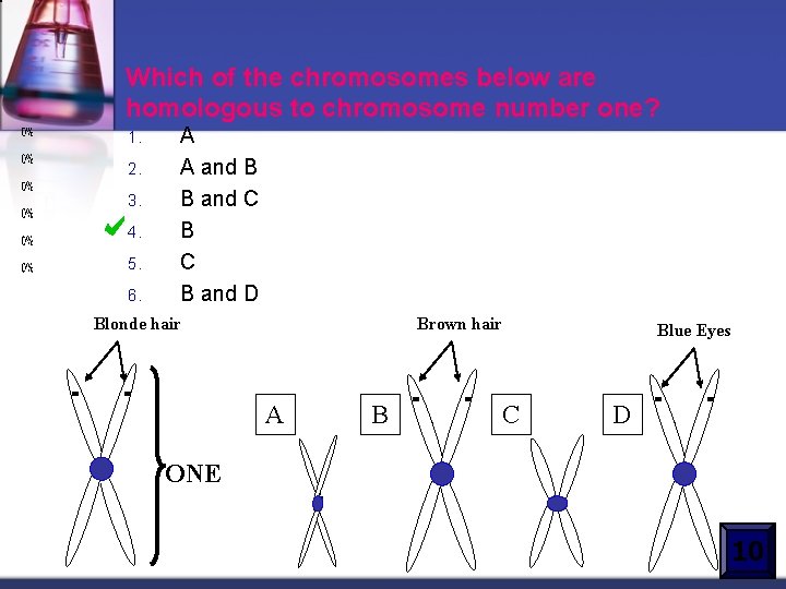 Which of the chromosomes below are homologous to chromosome number one? 1. 2. 3.
