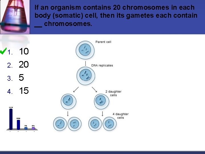 If an organism contains 20 chromosomes in each body (somatic) cell, then its gametes