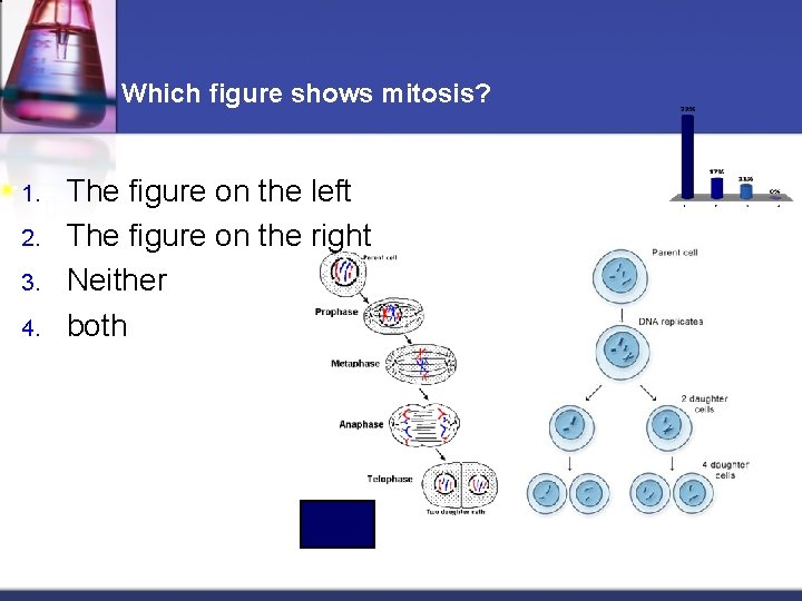 Which figure shows mitosis? 1. 2. 3. 4. The figure on the left The
