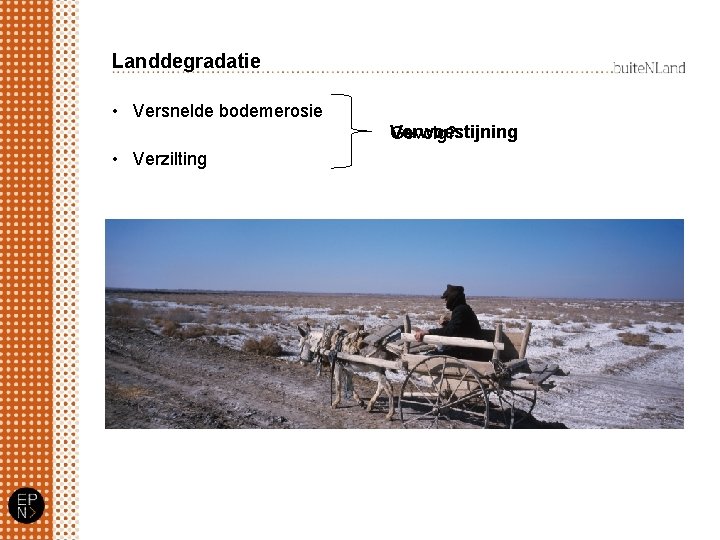Landdegradatie • Versnelde bodemerosie Verwoestijning Gevolg? • Verzilting 
