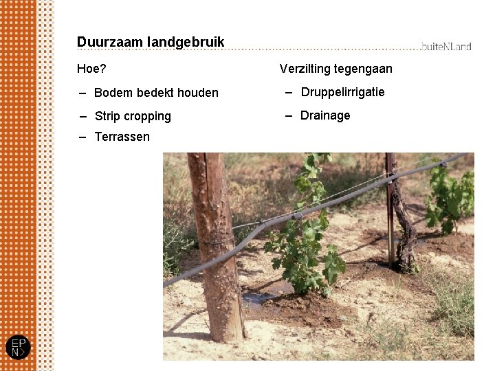 Duurzaam landgebruik Hoe? Verzilting tegengaan – Bodem bedekt houden – Druppelirrigatie – Strip cropping