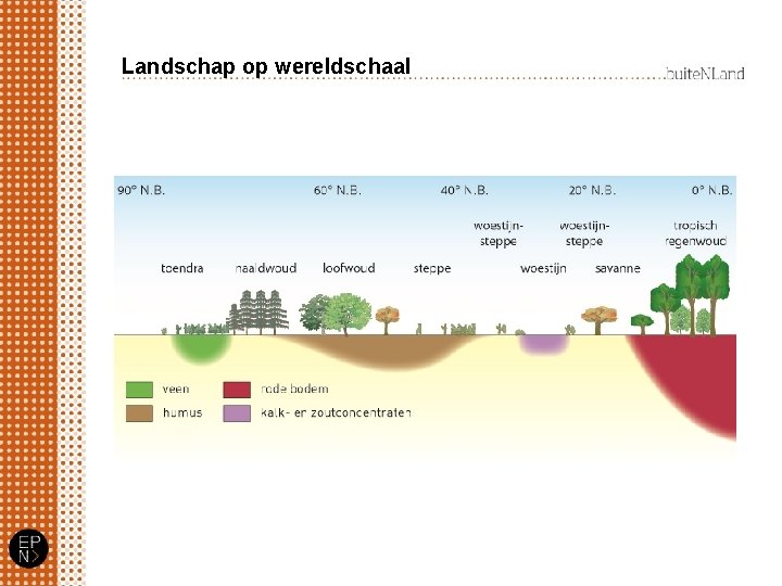 Landschap op wereldschaal 