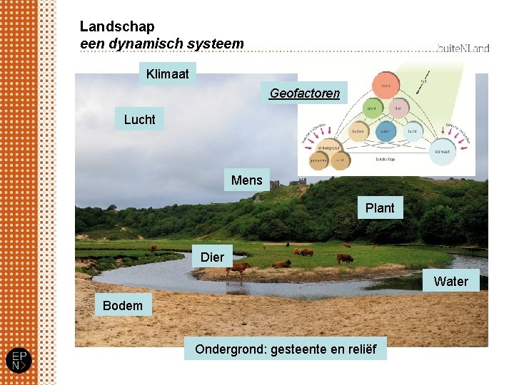 Landschap een dynamisch systeem Klimaat Geofactoren Lucht Mens Plant Dier Water Bodem Ondergrond: gesteente