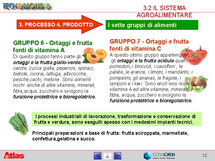 3. 2 IL SISTEMA AGROALIMENTARE 3. PROCESSO 4. PRODOTTO GRUPPO 6 - Ortaggi e
