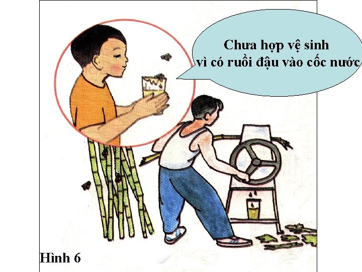 Chưa hợp vệ sinh vì có ruồi đậu vào cốc nước Hình 6 Chưa hợp vệ sinh vì có ruồi đậu vào cốc nước Hình 6