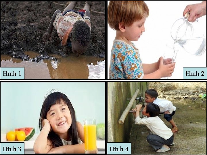 Hình 1 Hình 3 Hình 2 Hình 4 Hình 1 Hình 3 Hình 2 Hình 4